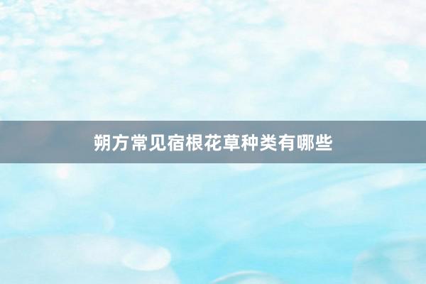 朔方常见宿根花草种类有哪些